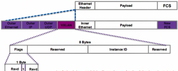 vxlan报文-1